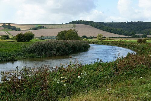 River Arun
