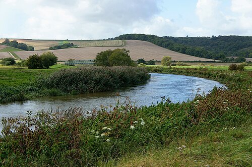 River Arun