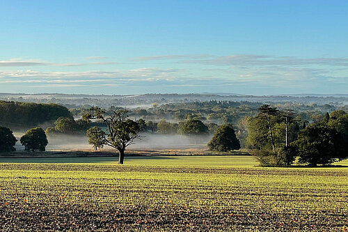 Fields north of Horsham