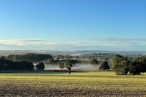 View of Horsham Town and District